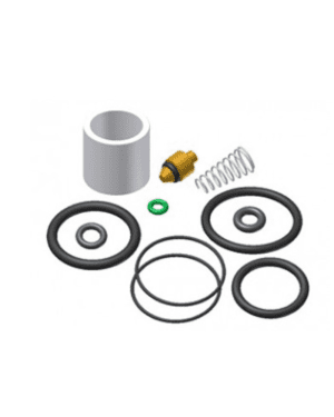 Injection Gun Seal Kit