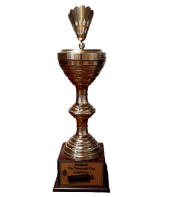 Badminton Trophy
