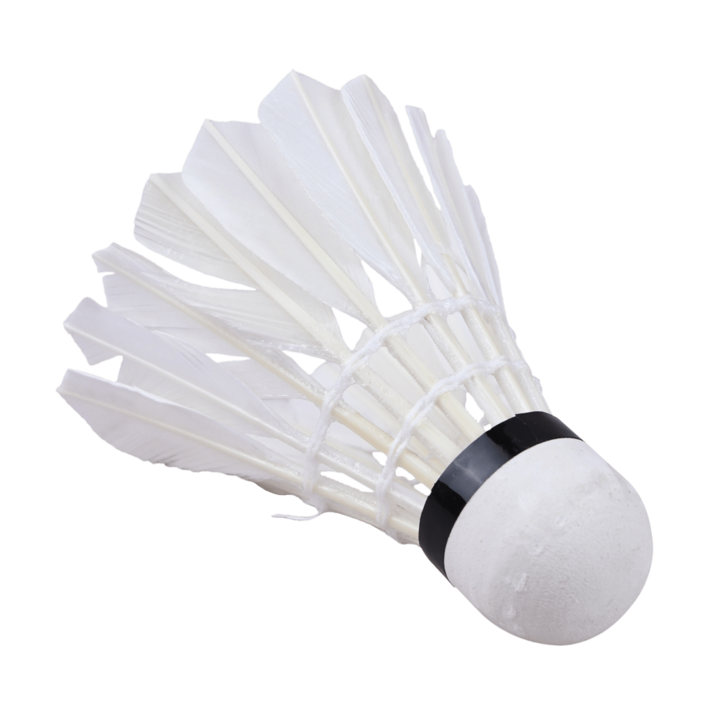 Badminton