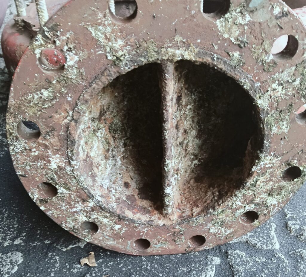 3 1 scaled e1736150808861