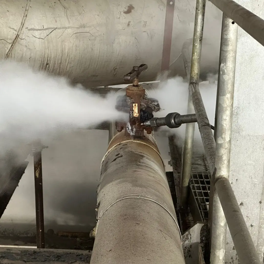 Online Leak Sealing